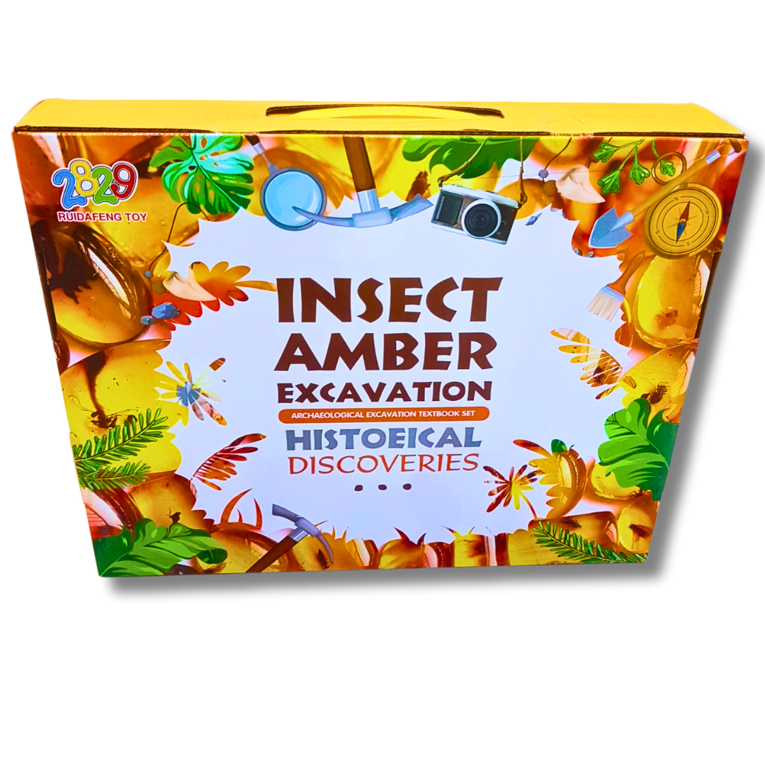 Insect Amber Excavation Kit - Archaeological Dig Set for Kids with Historical Discoveries